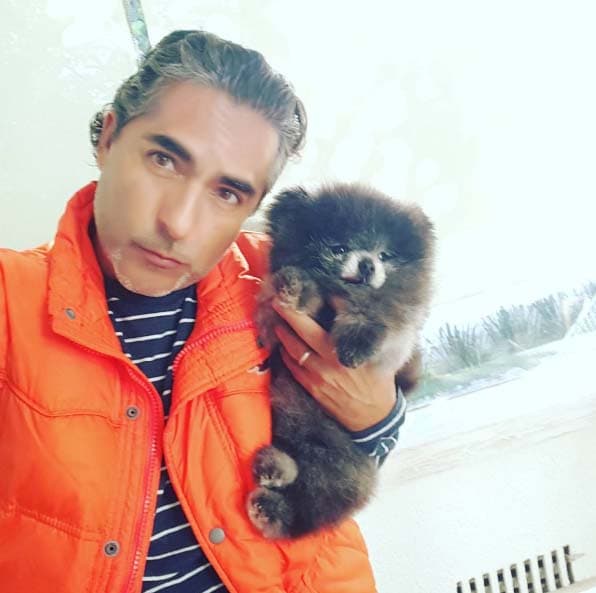 Manola es la guapura que tiene Raúl Araiza en casa. La bola de pelos mantiene muy entretenido a nuestro presentador.