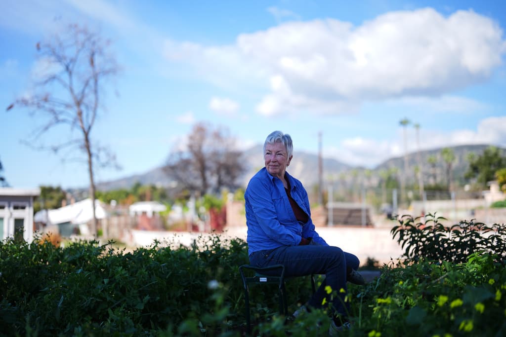 Un año después, la reconstrucción avanza lentamente: solo un puñado de hogares han sido completados, alrededor de 900 están en construcción y miles de permisos aprobados. Sobrevivientes luchan con seguros, toxicidad en suelos y burocracia, mientras investigaciones continúan: un sospechoso enfrenta juicio por el origen del Palisades (un fuego subterráneo desde Año Nuevo), y demandas apuntan a Southern California Edison por el Eaton.