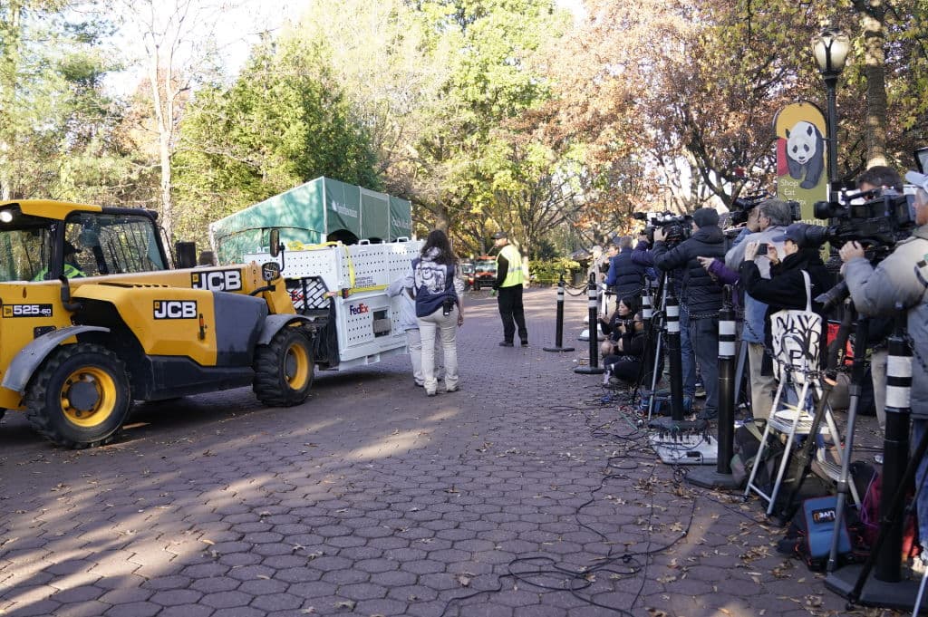 La partida de los pandas ha generado sentimientos encontrados entre los visitantes del zoológico y la comunidad en general.