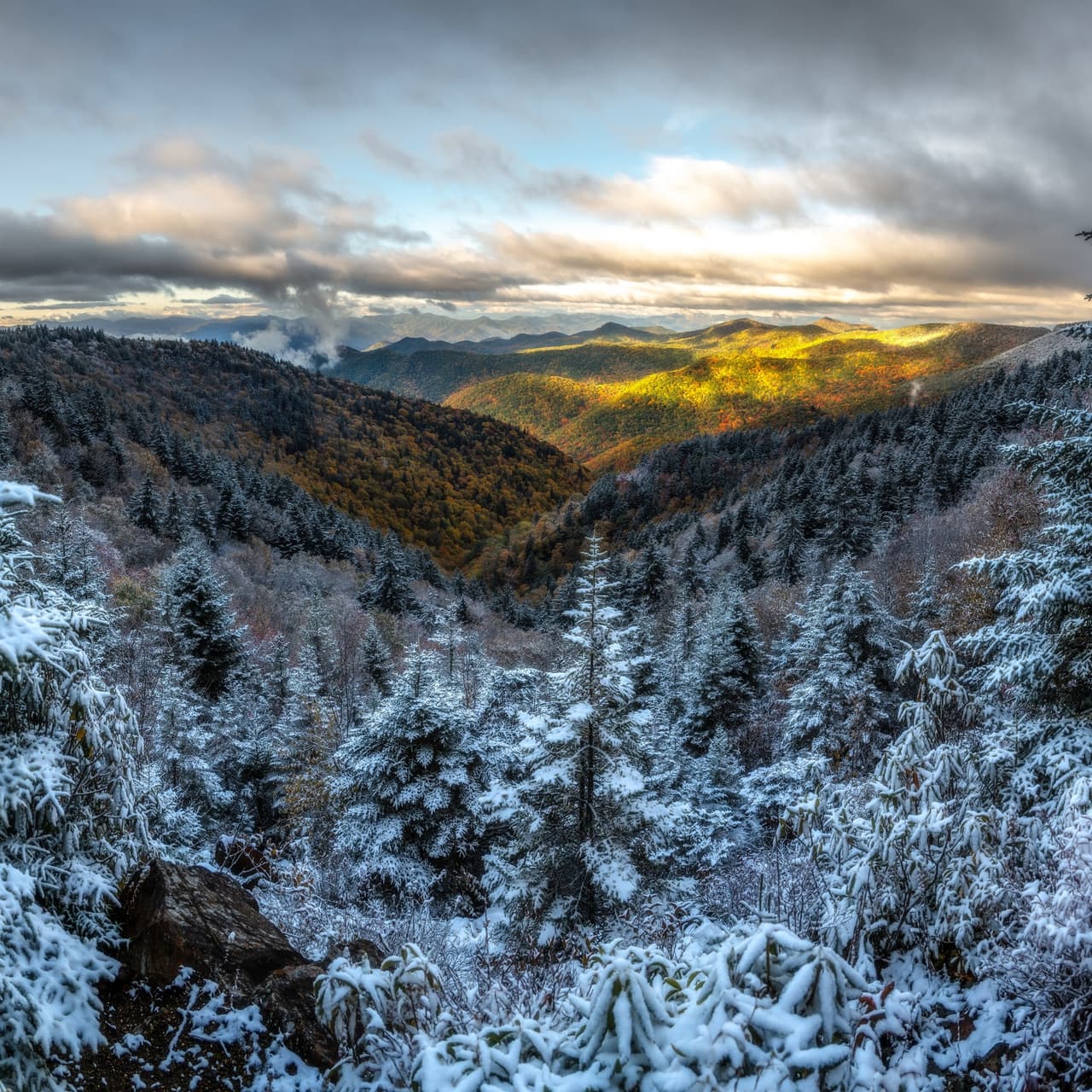 Encuentra más destinos e información local, 
<a href="https://www.univision.com/local/north-carolina-wuvc/localisimo"><b>aquí</b></a>.