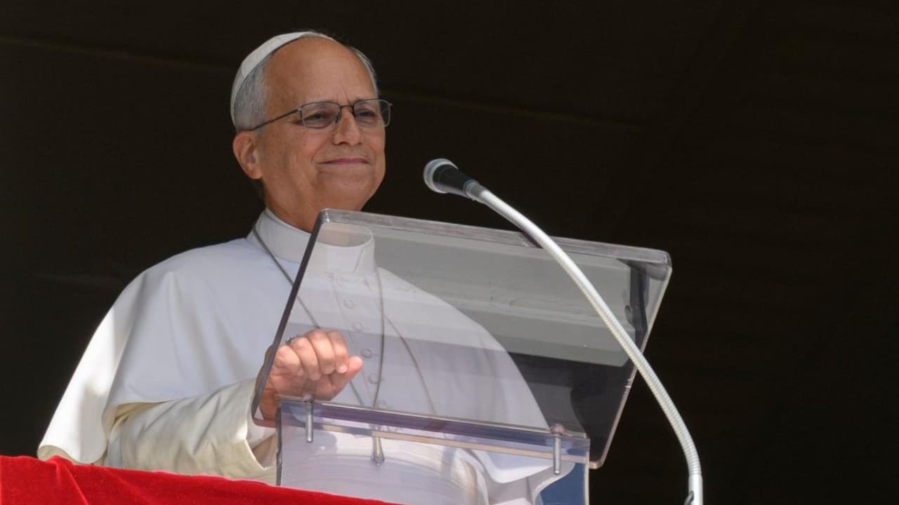¿El papa puede seguir sus actividades?, ¿La situación de salud de León XIV es de riesgo?: Un oncólogo nos explica