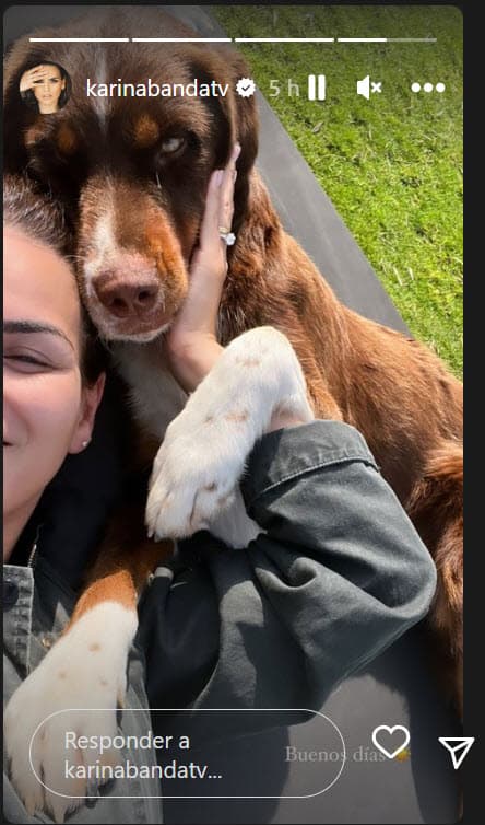 El cariño que le ha tomado ha sido tanto que ya ha considerado adoptarlo y llevarlo con ella a Miami. No obstante, mientras meditan ella y su esposo la idea, adelantó que 'Amor' aparecerá en la nueva temporada de Enamorándonos La Isla.