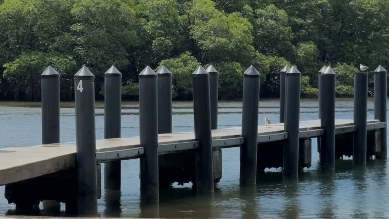 Investigan accidente marítimo en Crandon Park