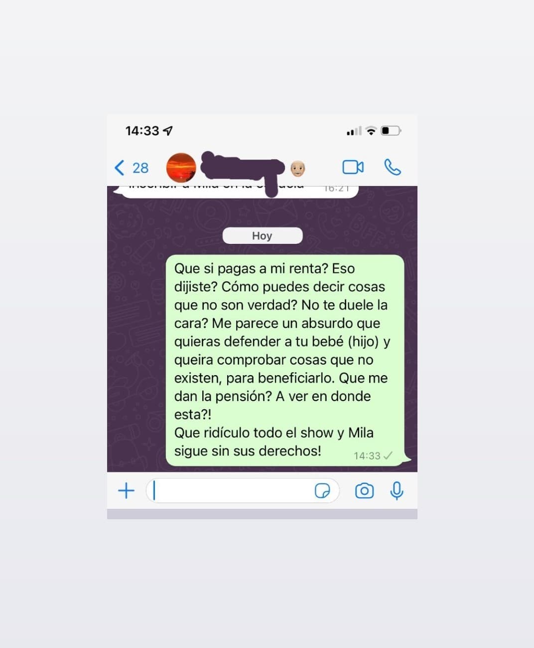 Natália Subtil también mostró una conversación en la que reclama presuntamente a Sergio Mayer por defender a su hijo y por haber dicho que paga su renta y que se hacen cargo de los gastos de la niña.