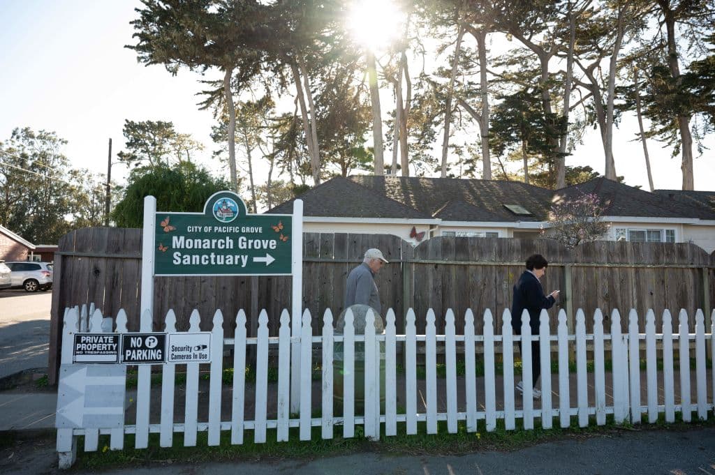 Si tienes la oportunidad de visitar alguno de estos lugares, no te pierdas la oportunidad de presenciar el increíble espectáculo natural que ofrecen las mariposas monarca en California. Recuerda respetar su hábitat y disfrutar de su belleza de manera responsable. ¡Disfruta de esta experiencia única!