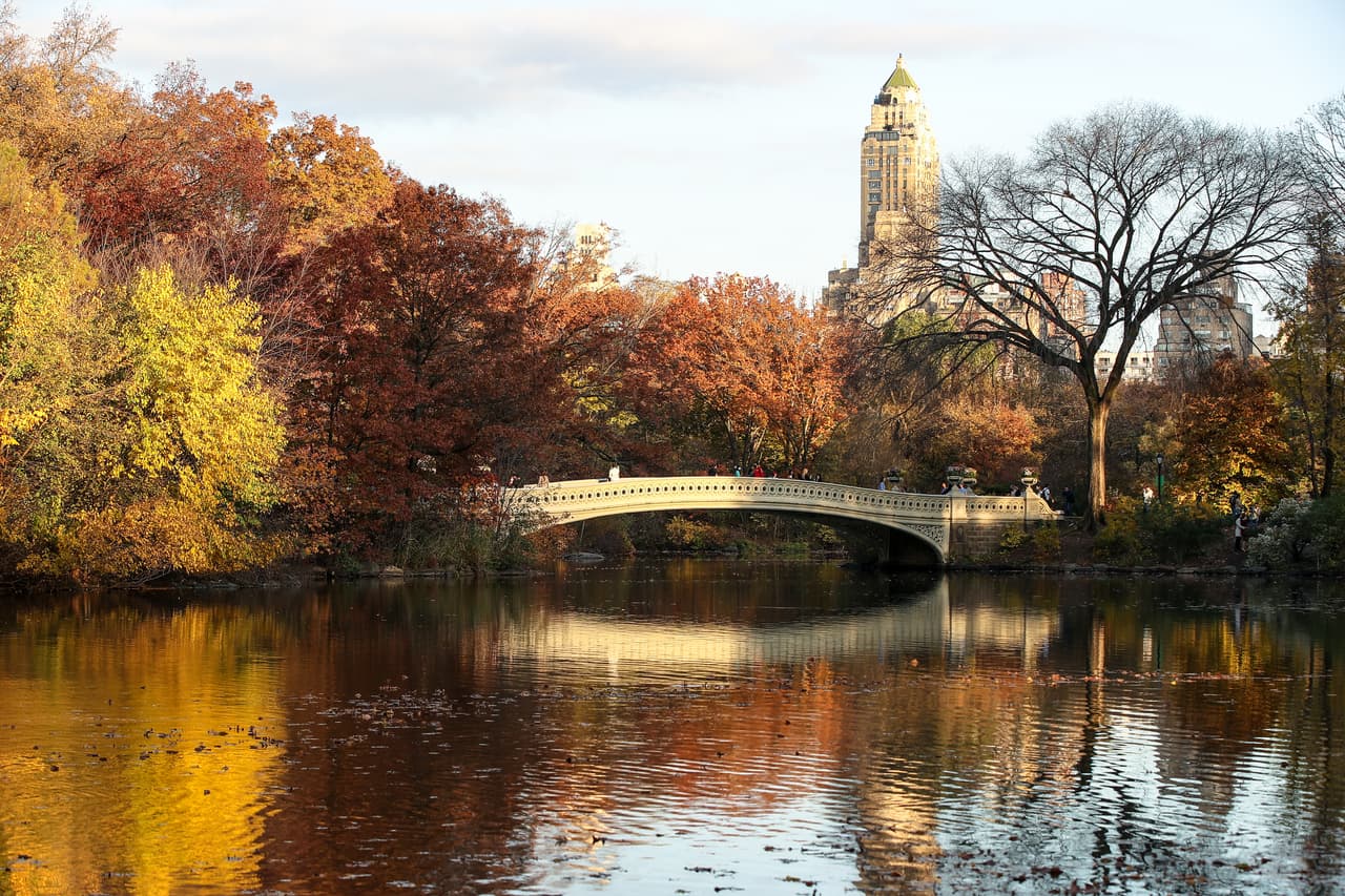 Cada otoño, los aproximadamente 18,000 árboles de Central Park se transforman para regalarnos vibrantes tonos de amarillo, naranja y rojo.
