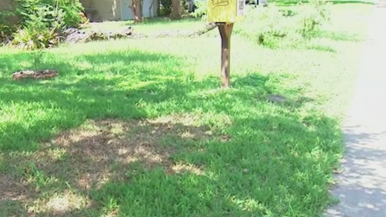 Destruyen con químicos jardines de 40 casas en Alamos Heigths