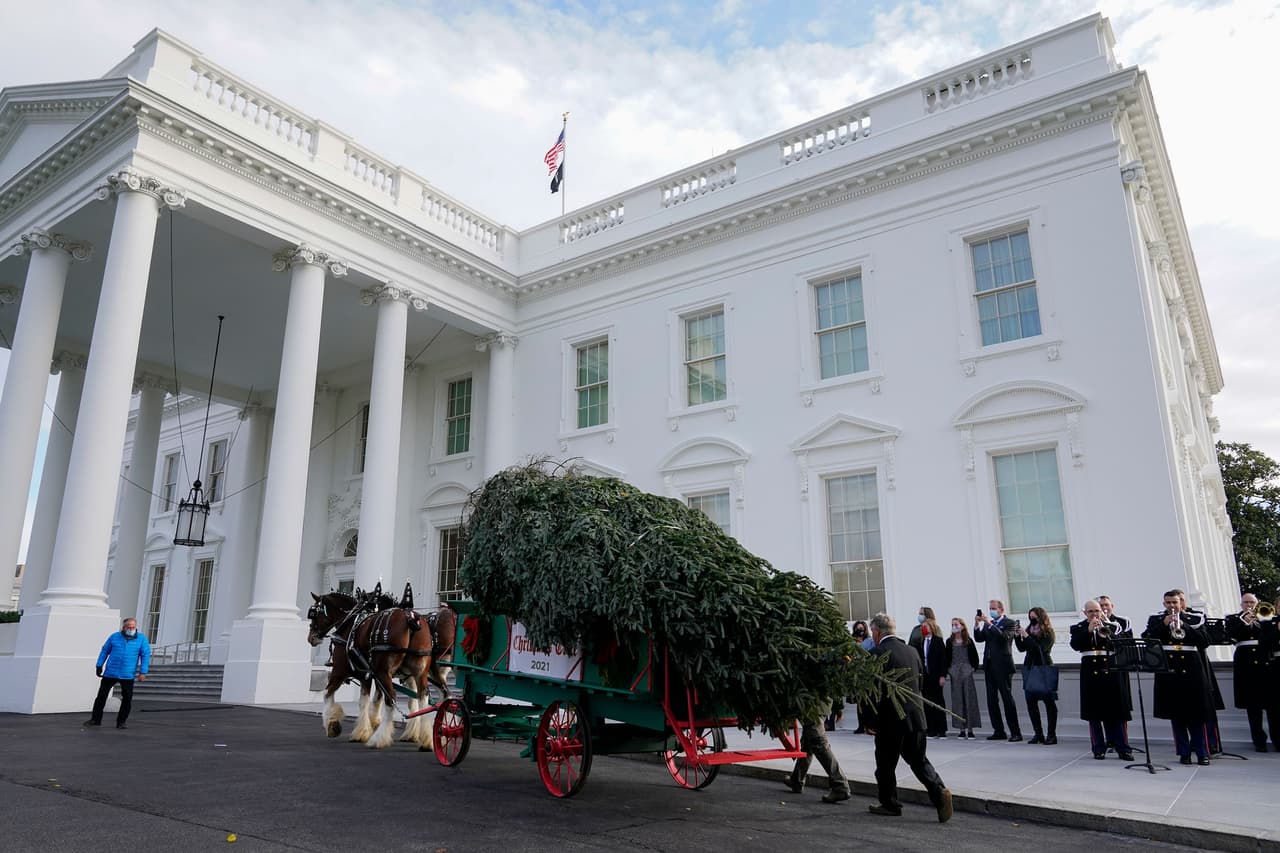 Dale Haney, superintendente de terrenos de la Casa Blanca, y
<a href="https://realchristmastrees.org/2021/10/24/2021-white-house-christmas-tree-selected/" target="_blank">James Pinkerton</a>, supervisor de jardines, viajaron a la granja Peak a principios de este año para seleccionar personalmente el árbol de entre los ganadores del concurso nacional.