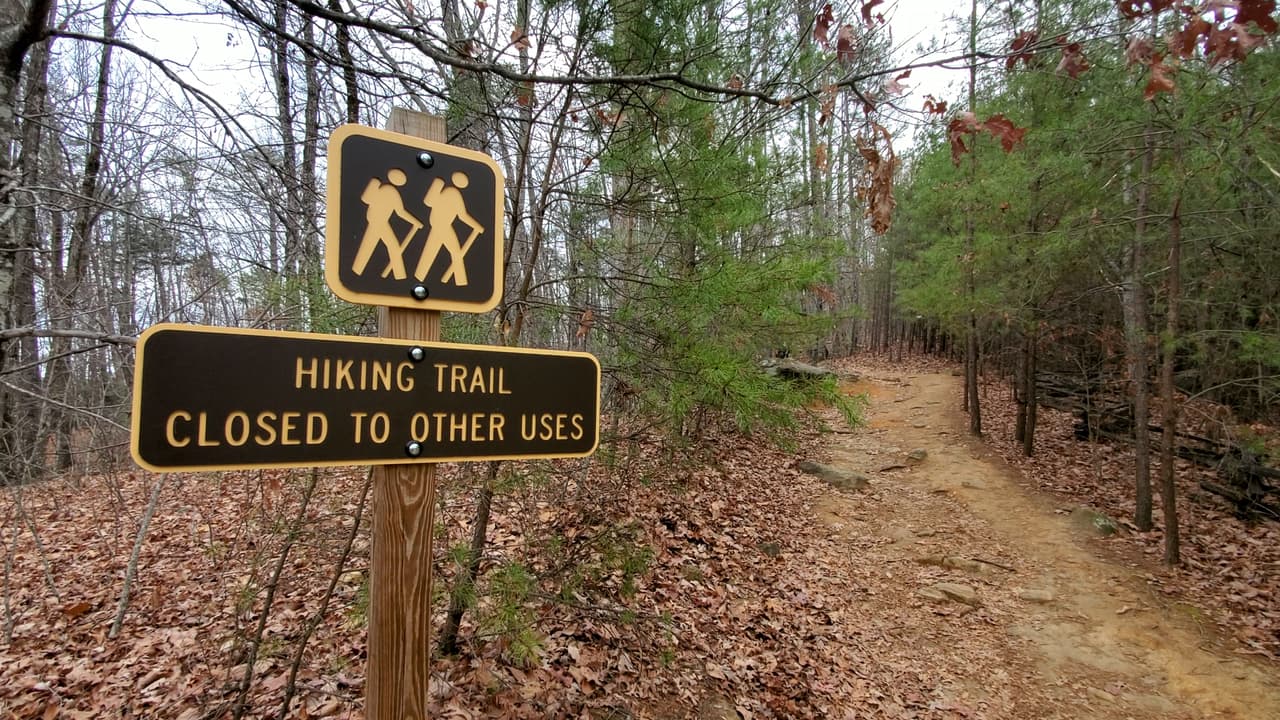 El sendero tiene poco más de dos millas de longitud desde el estacionamiento hasta la cumbre de Mount Yonah, por lo que deberás prepararte para una caminata de más de 4 millas.