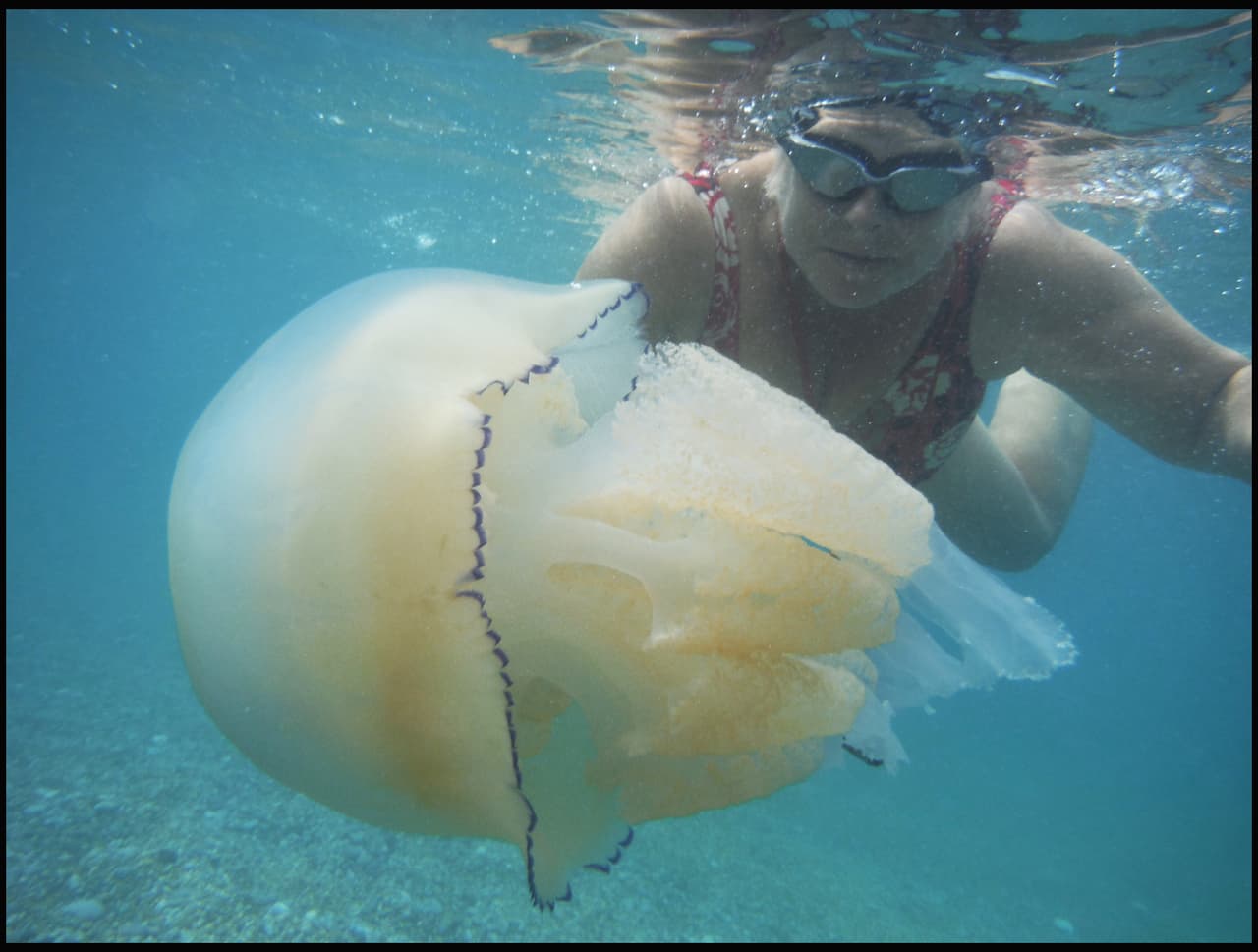 El lugar es conocido como Durdle Door; se encuentra sobre la Costa Jurásica, cerca de West Lulworth, en Dorset, Inglaterra.