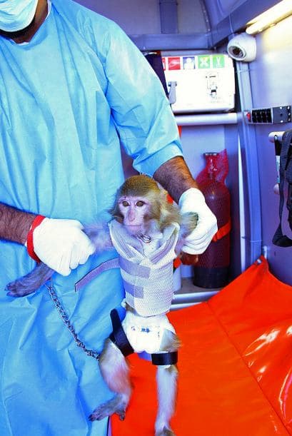 Irán ha dicho que pretende enviar un astronauta al espacio como parte de su ambicioso programa aeroespacial y ser un líder tecnológico para el mundo islámico.