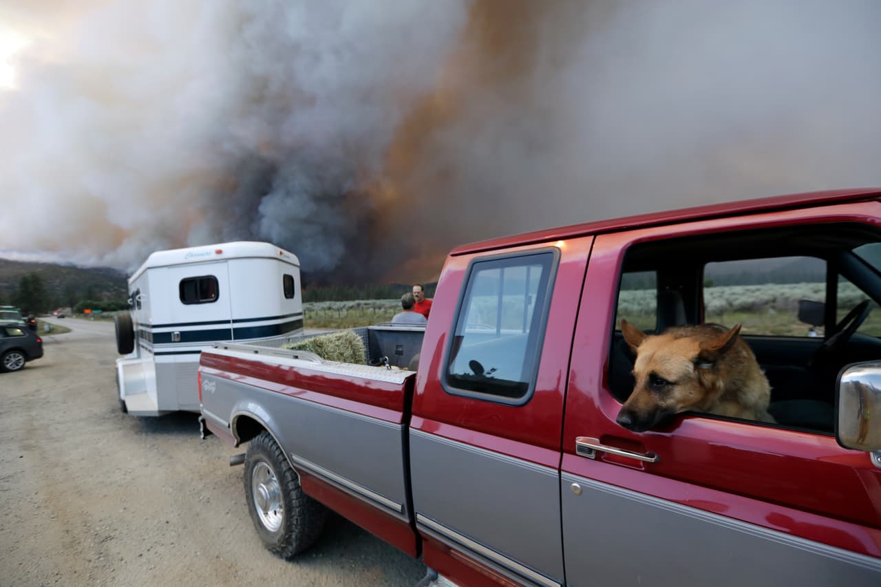 Un perro espera en el asiento del copiloto de una camioneta mientras los residentes evacuan la zona de Mountain Center, California, por la aproximación del incendio forestal.
