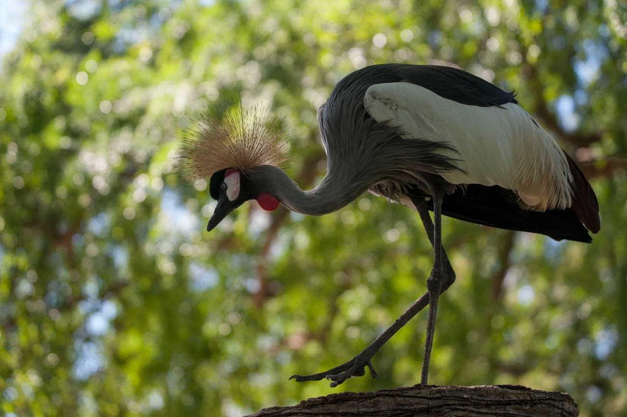 Un bello dia fue perfecto para las familias desde Bakersfield a Modesto.