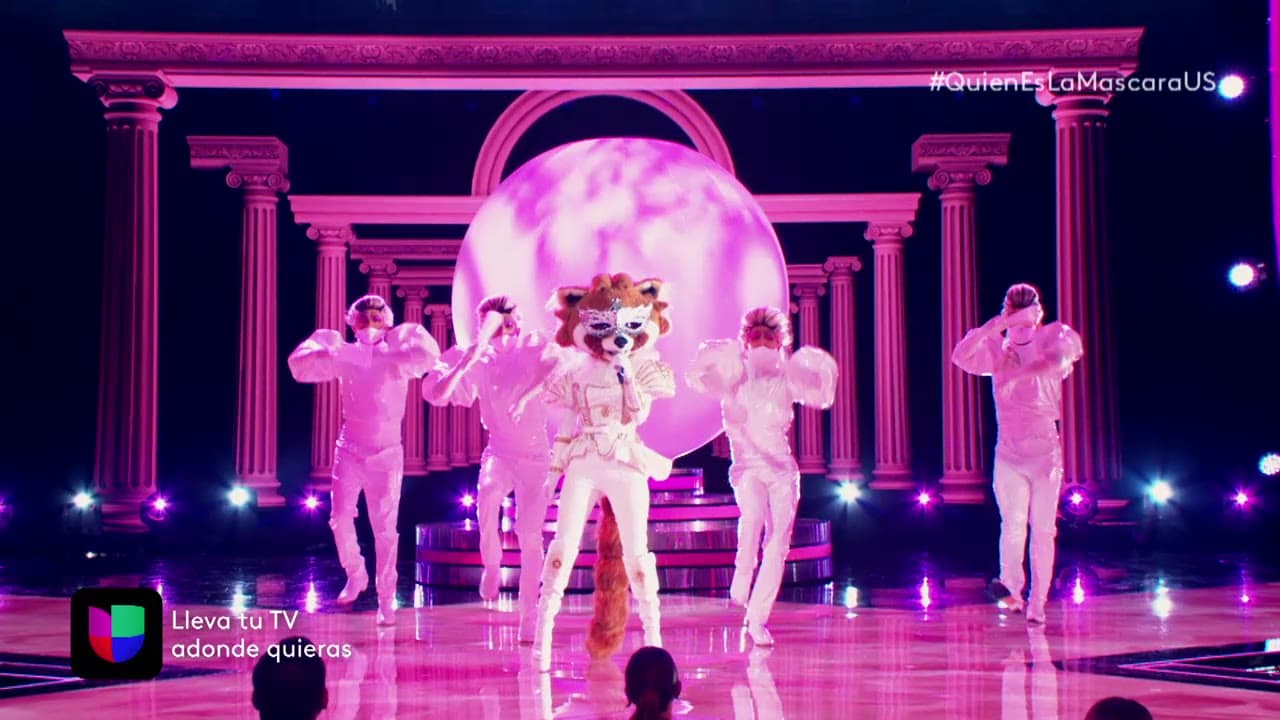 Mapache ha cantado 'Bad Guy', de Billie Eilish y el tema 'Amor Prohibido' de Selena, dedicado a Juanpa Zurita, durante su participación en el cuarto show.