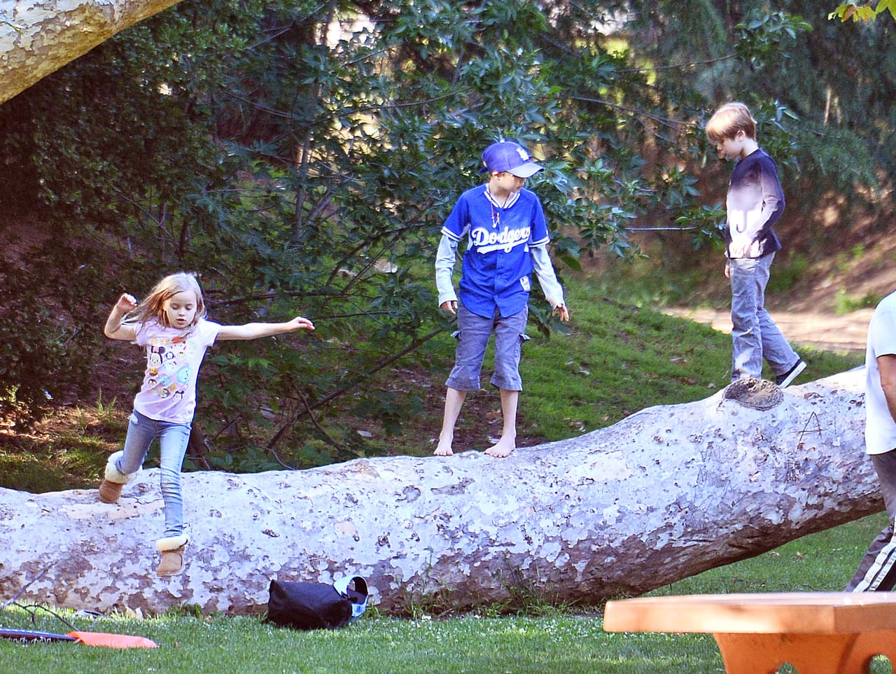 Los hermanos se treparon en la rama de un árbol.