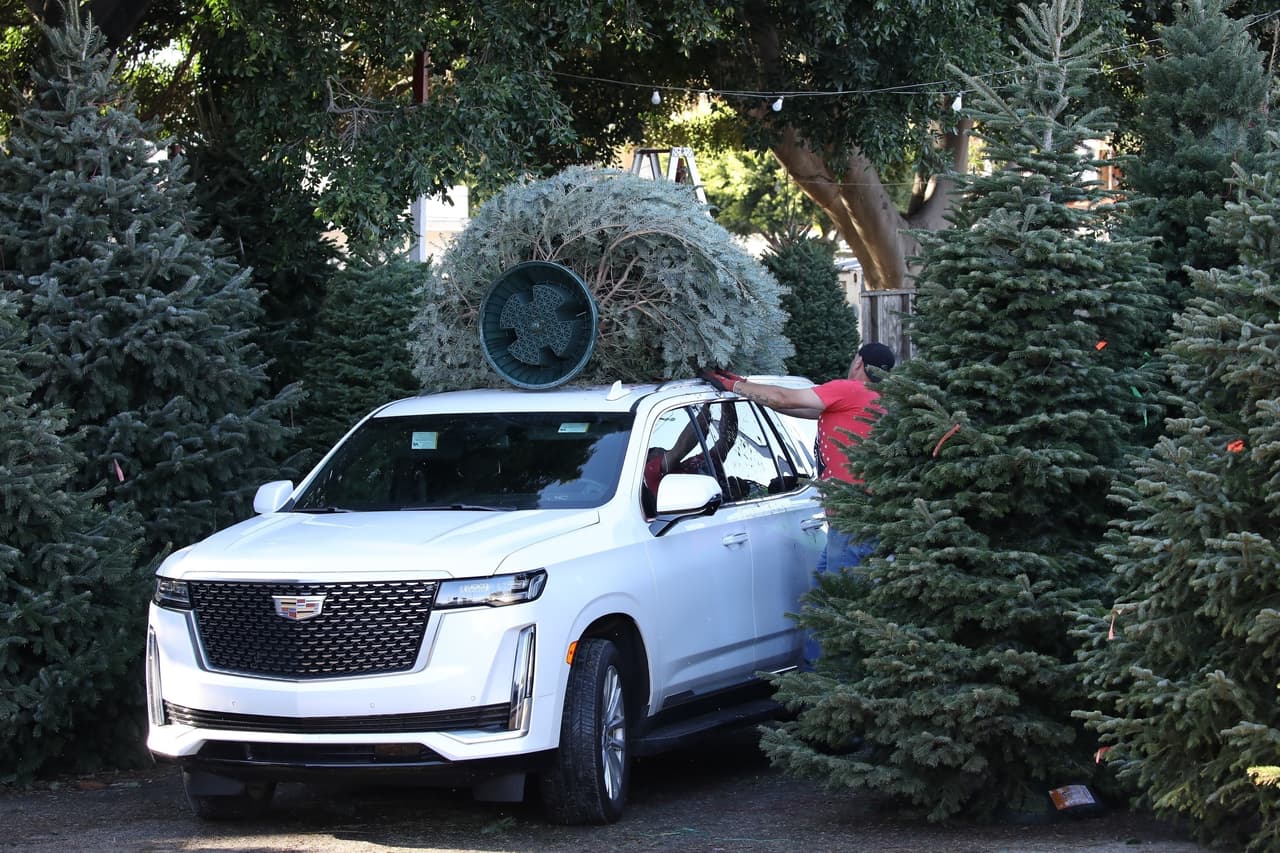 La familia Affleck López finalmente eligió un árbol de Navidad, por lo que los trabajadores del lote procedieron a amarrarlo en la parte superior de su camioneta. 
<br>