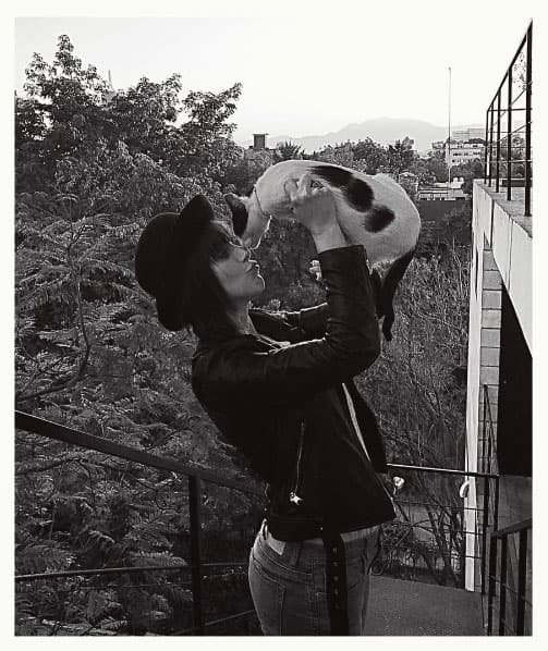 4. Le encantan los animales, se identifica con los caballos.