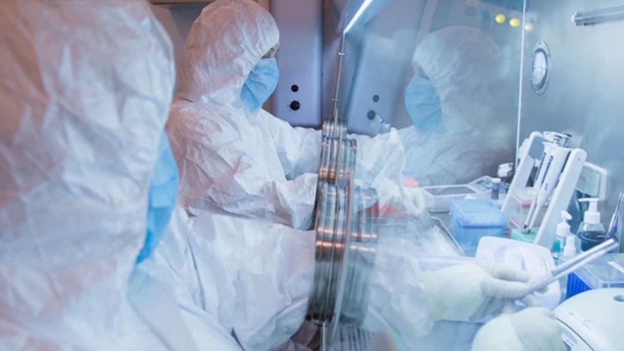 Trump hablará con Putin sobre posible caso de peste neumónica; identifican a mujer fallecida del laboratorio en Siberia