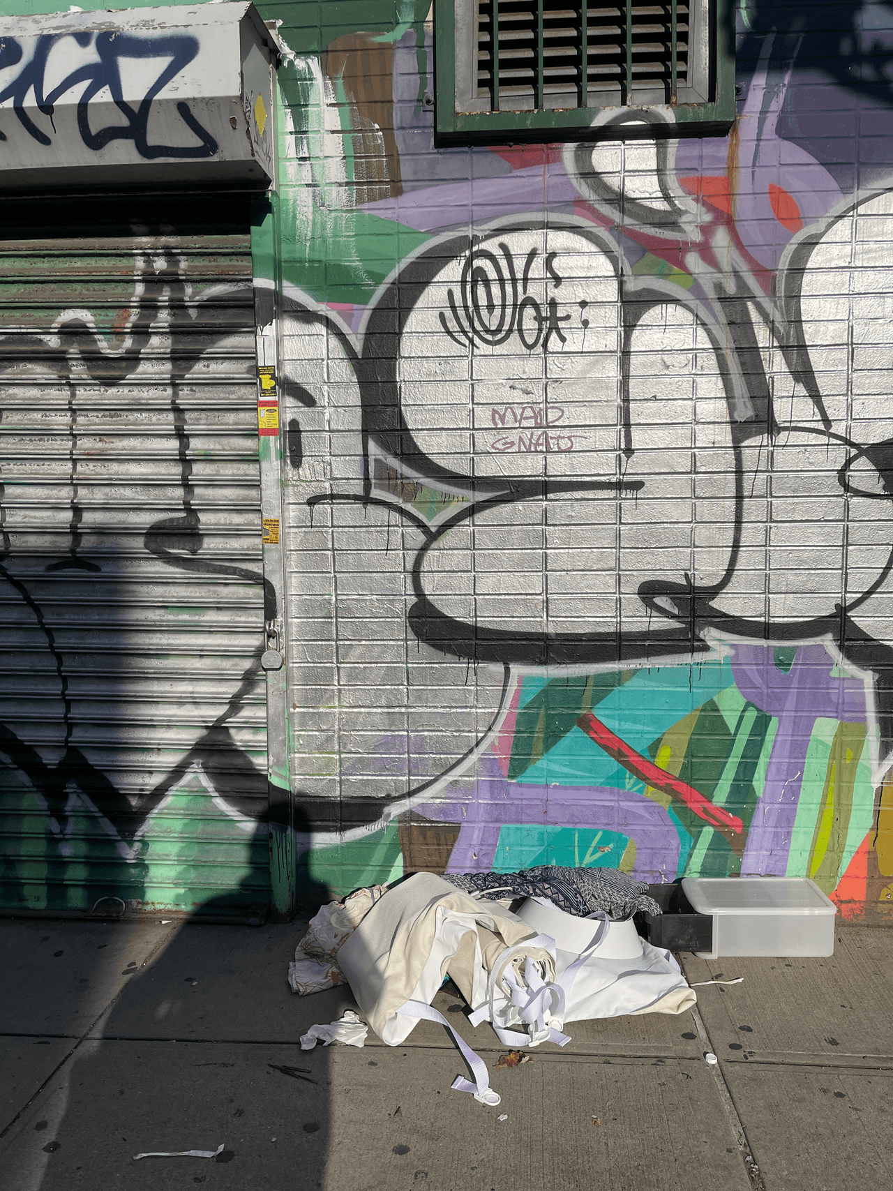 Reynoso enfatizó que es importante que la gente siga reportando el problema, ya que las quejas por la basura se guardan durante tres días, que es el tiempo promedio que tarda el camión de basura en ir a la zona.