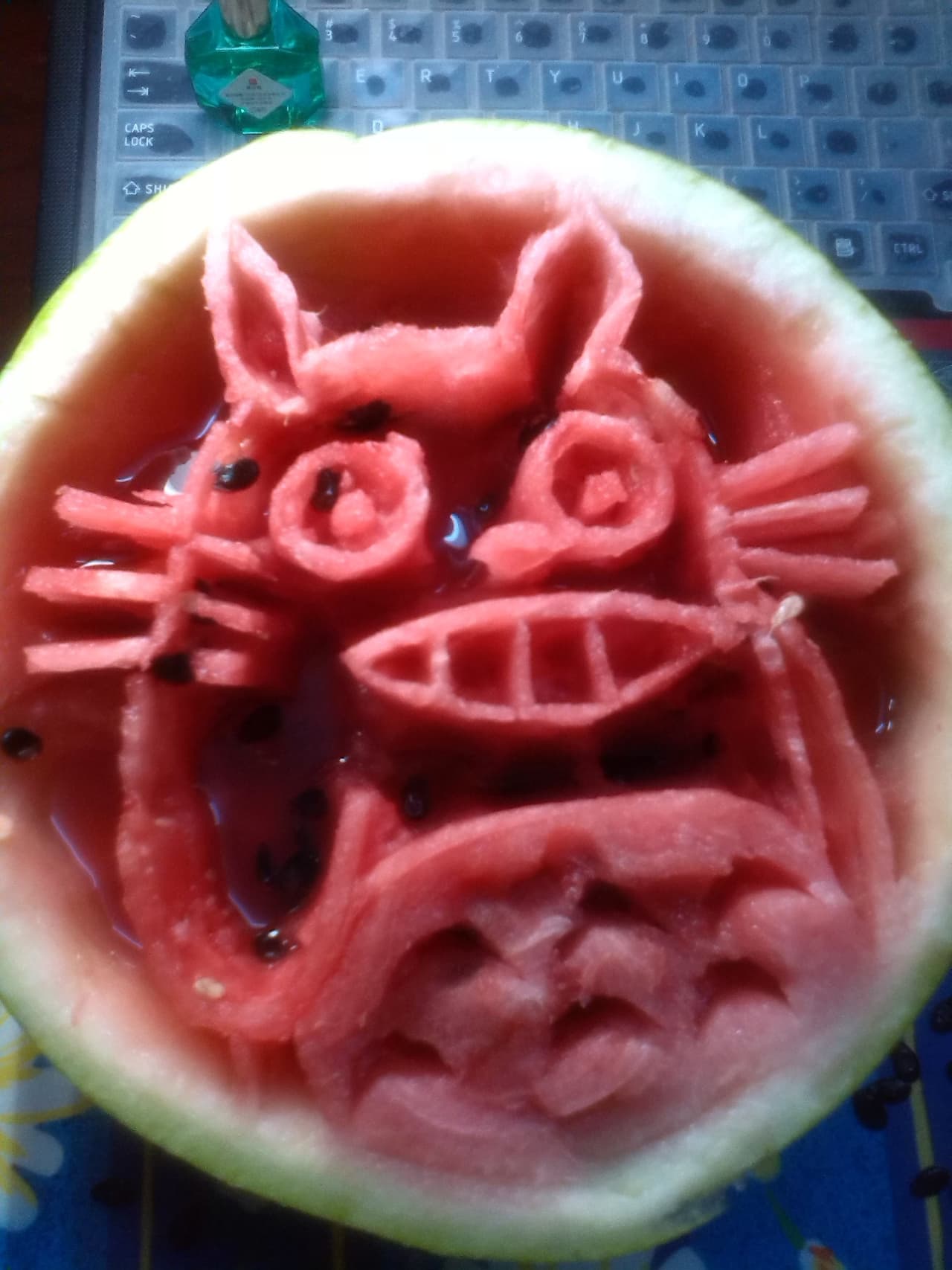 Los gatos con caras divertidas también son bienvenidos.