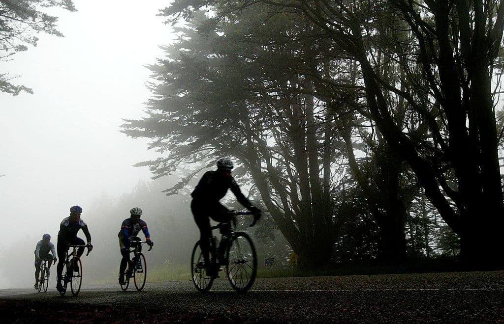 Estos son 5 consejos que no debemos olvidar cuando las condiciones de neblina son más constantes.