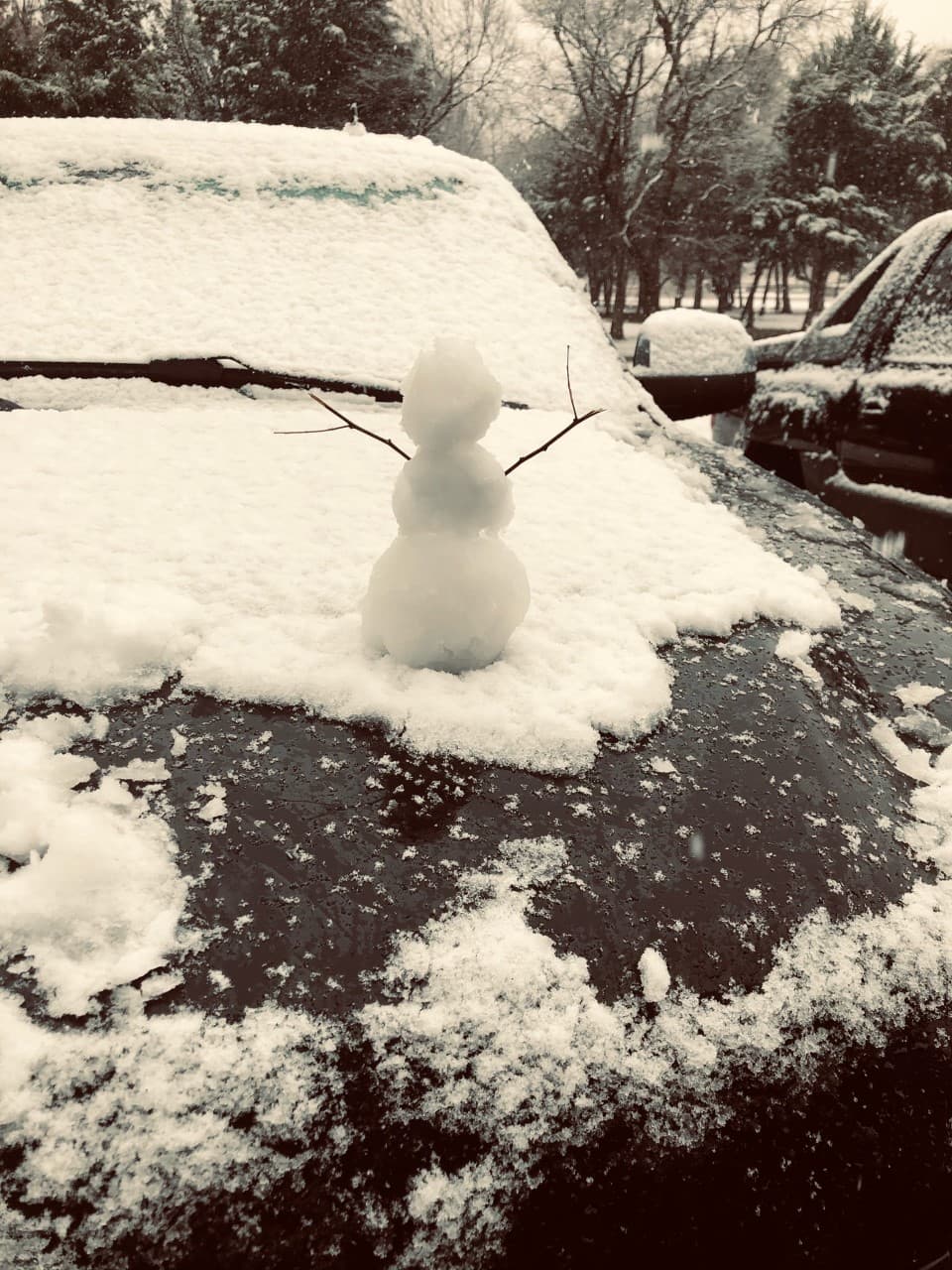 Por ejemplo este muñeco de nieve en la ciudad de Duncanville.