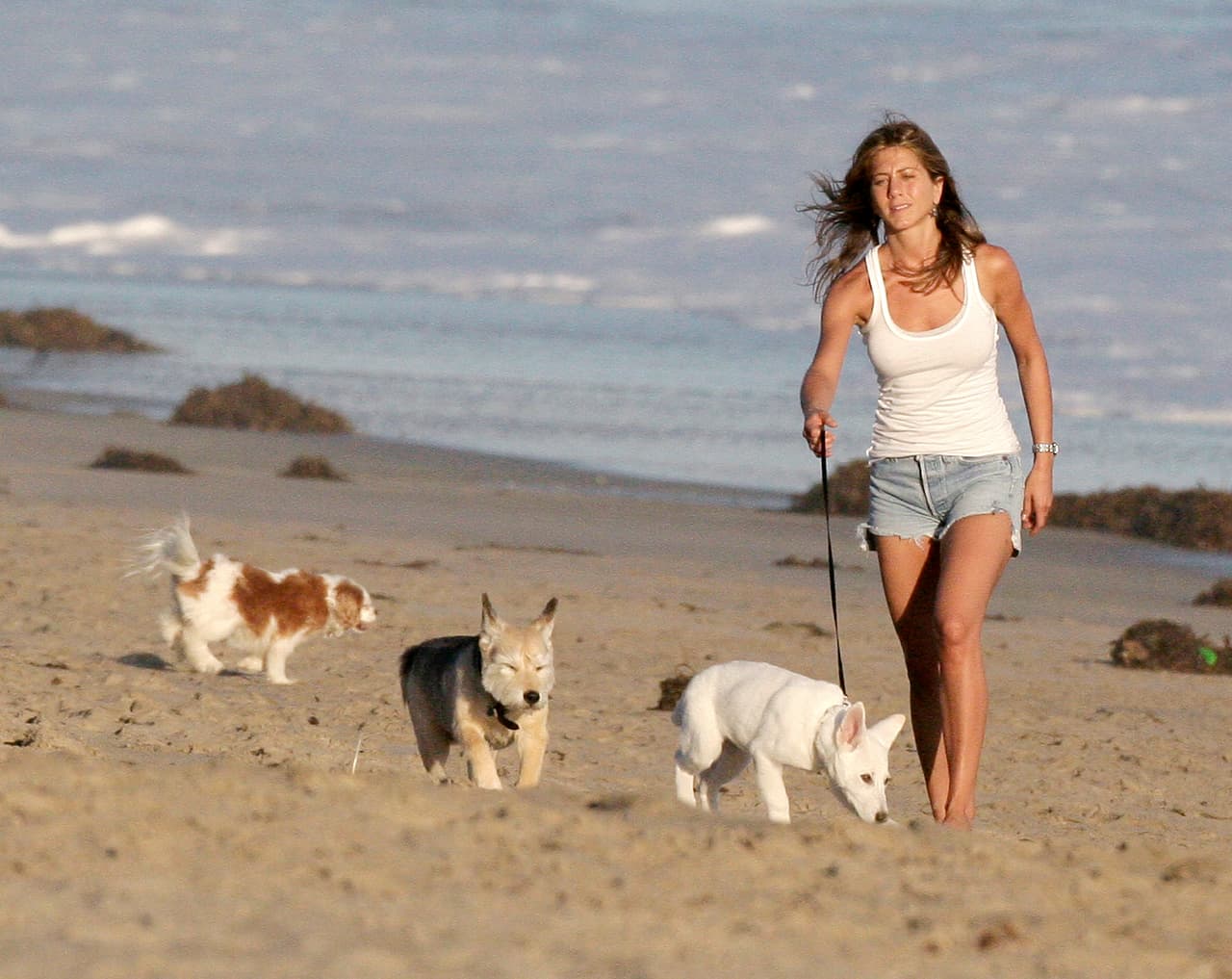 Jennifer Aniston. ¿Quién no envidia el cuerpazo de Jennifer? Esta mujer ha conseguido la firmeza de sus brazos y piernas a base de yoga y abdominales.