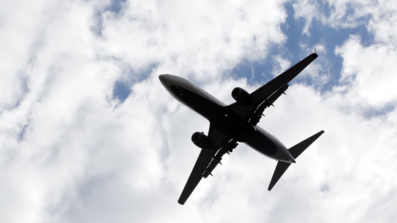 Llegan a Tampa ciudadanos estadounidenses evacuados desde Israel por conflicto con Irán