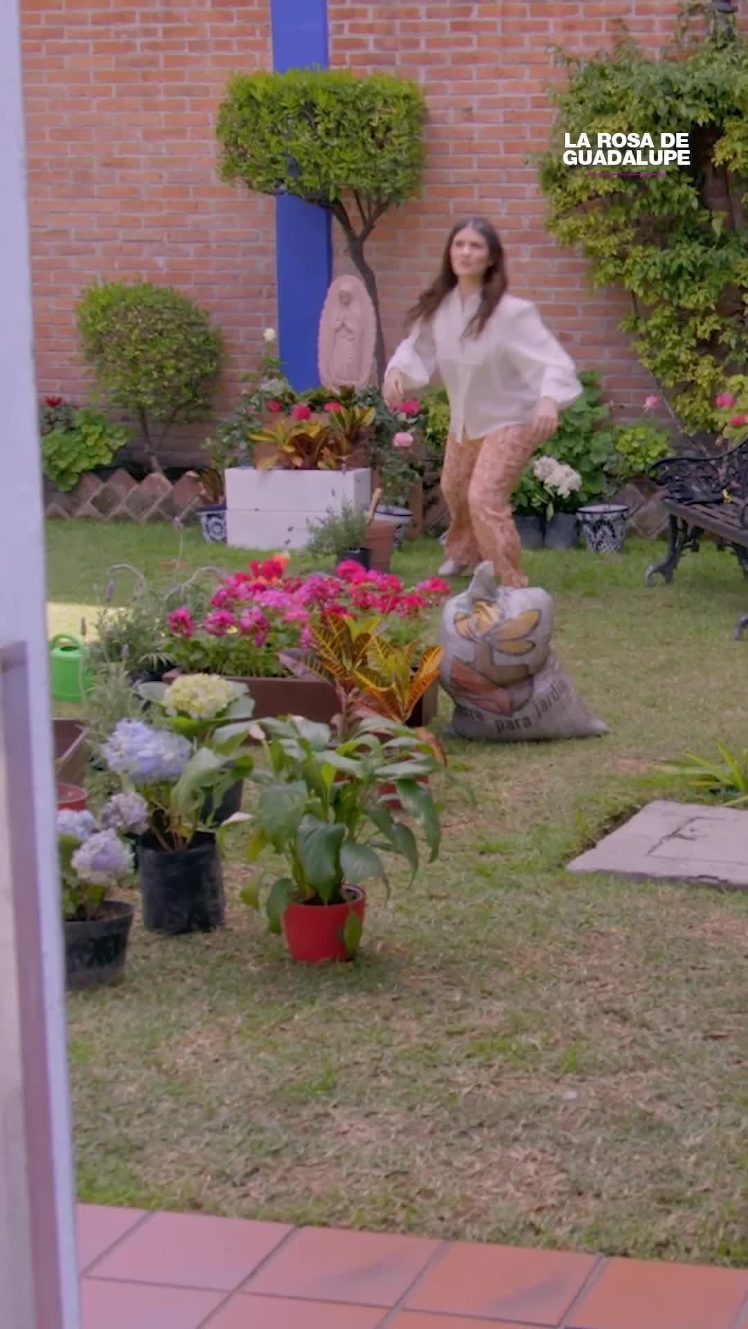 ¿Perdió a su mamá por culpa de Toby?