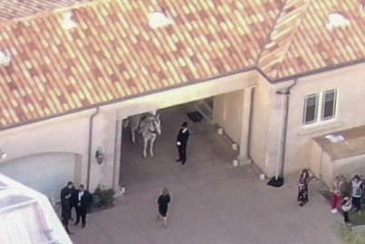 El carruaje fue igualmente decorado con rosas. Además, contó con un gran corcel blanco.