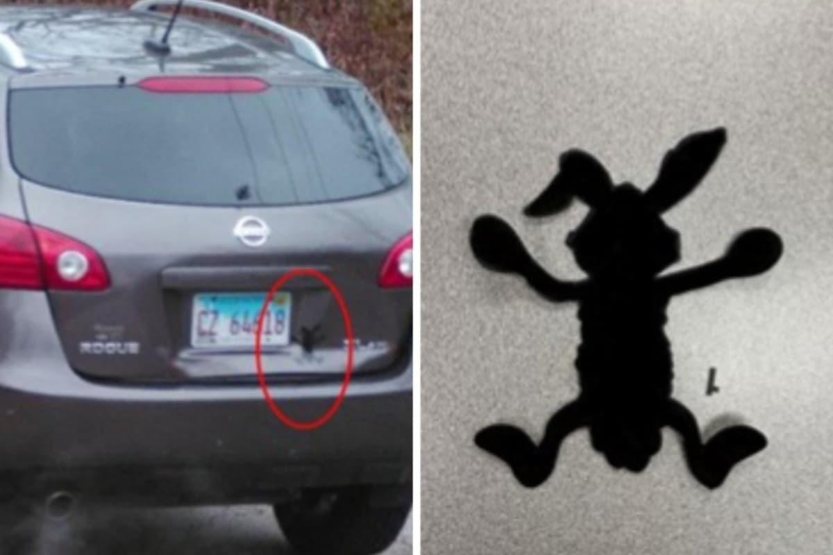 <b>Sábado 9 de diciembre de 2023: </b>La policía de Carpentersville comenzó la búsqueda de la adolescente. Publicó fotografías de Brissa Romero, así como el vehículo en el que viajaba. El Ni
<b>ssa Rouge gris tenía una señal particular: una calcomanía de un coyote color negro.</b>