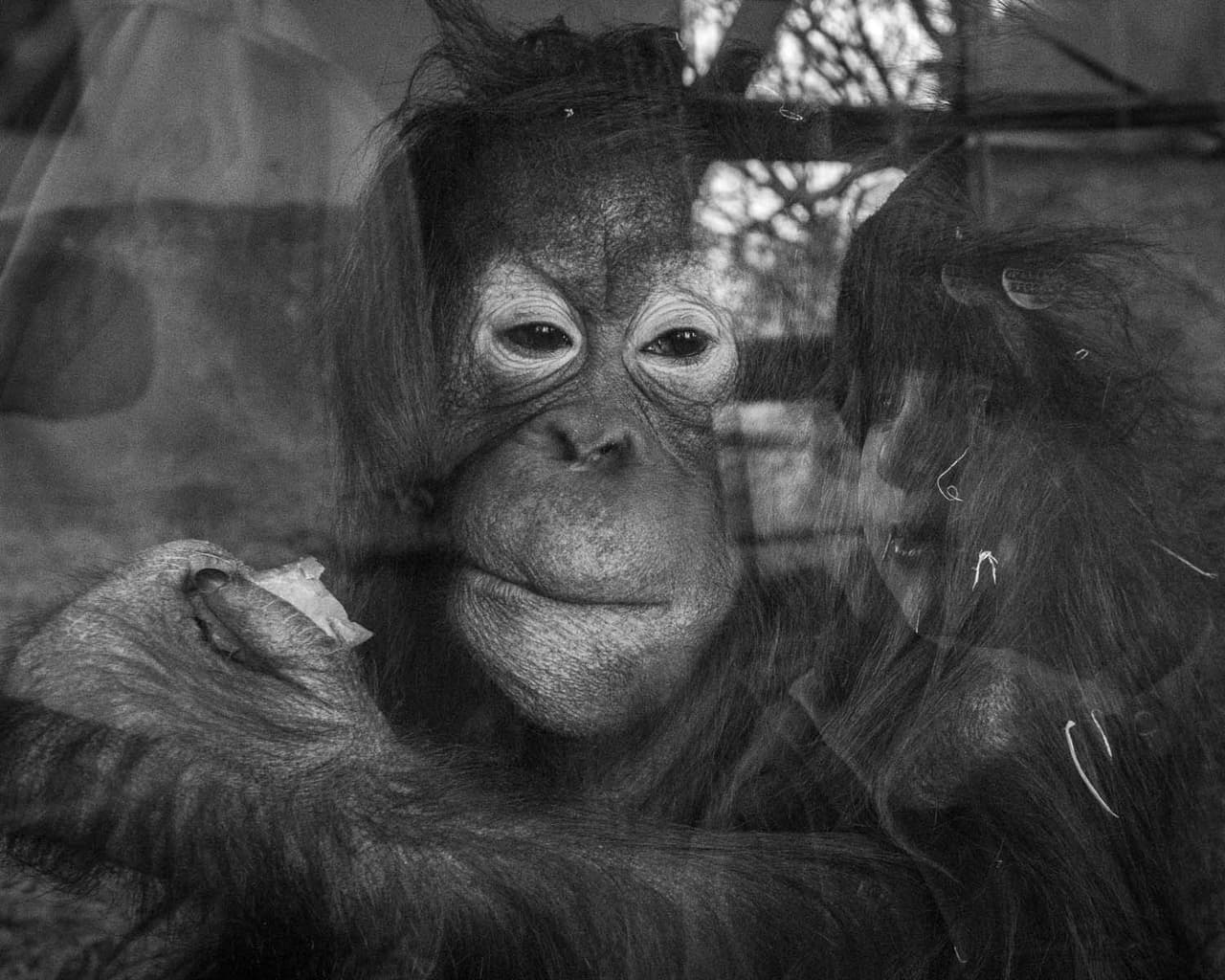 <b>‘97%’</b>
<br>
<br>Destacada en la categoría ‘el hombre y la naturaleza’.
<br>