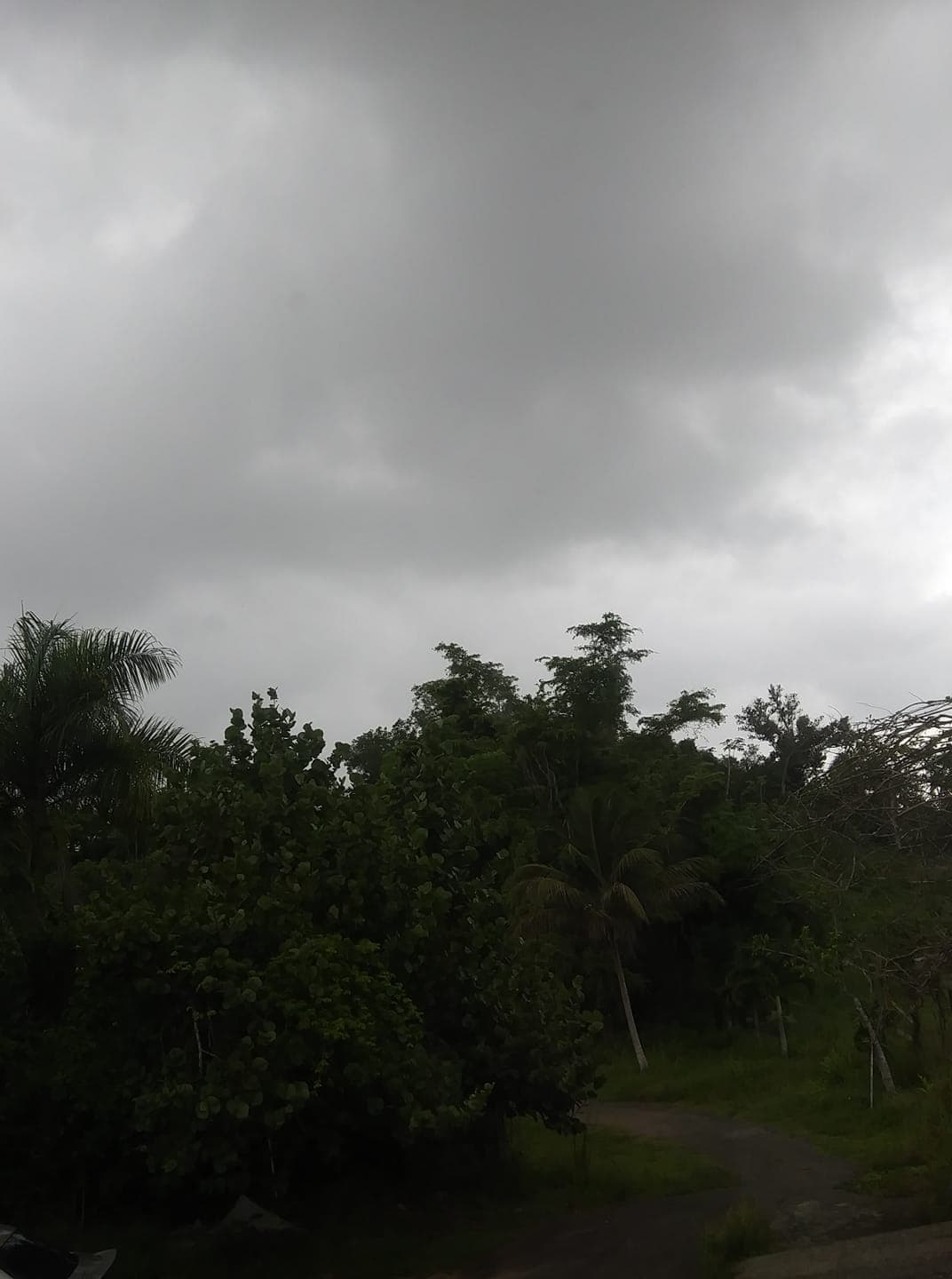 Para Arecibo el cielo se encuentra completamente nublado con proximidad de lluvias y fuertes vientos.