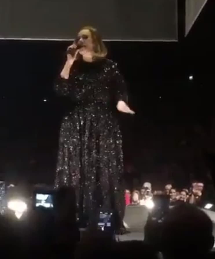 La cantante británica no deja de dar de qué hablar, y esta vez fue la sensación...