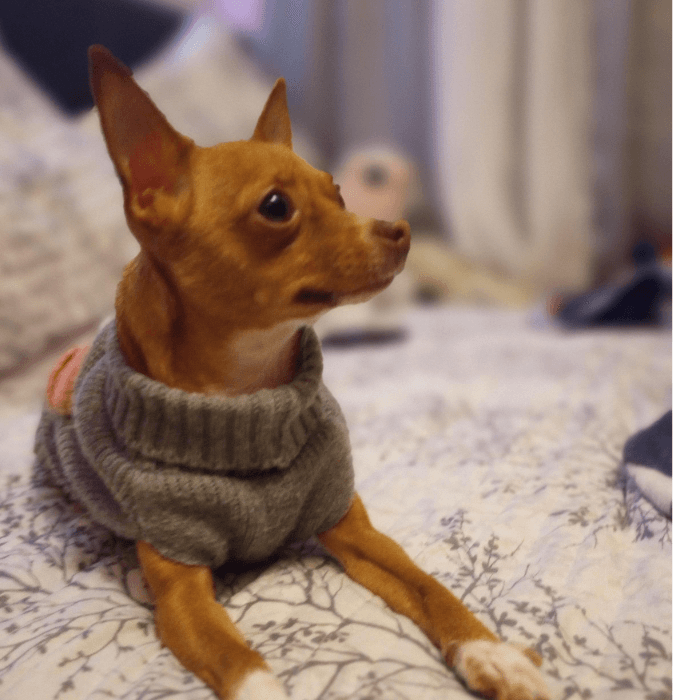 Belén Rodríguez nos envía a su mascota