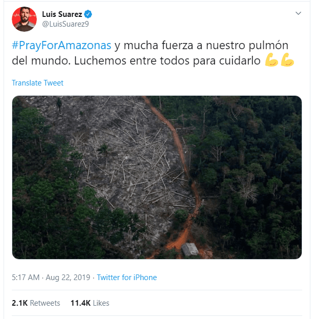 Luis Suárez, delantero del Barcelona, invita a luchar para cuidar el Amazonas y corregir los incendios.