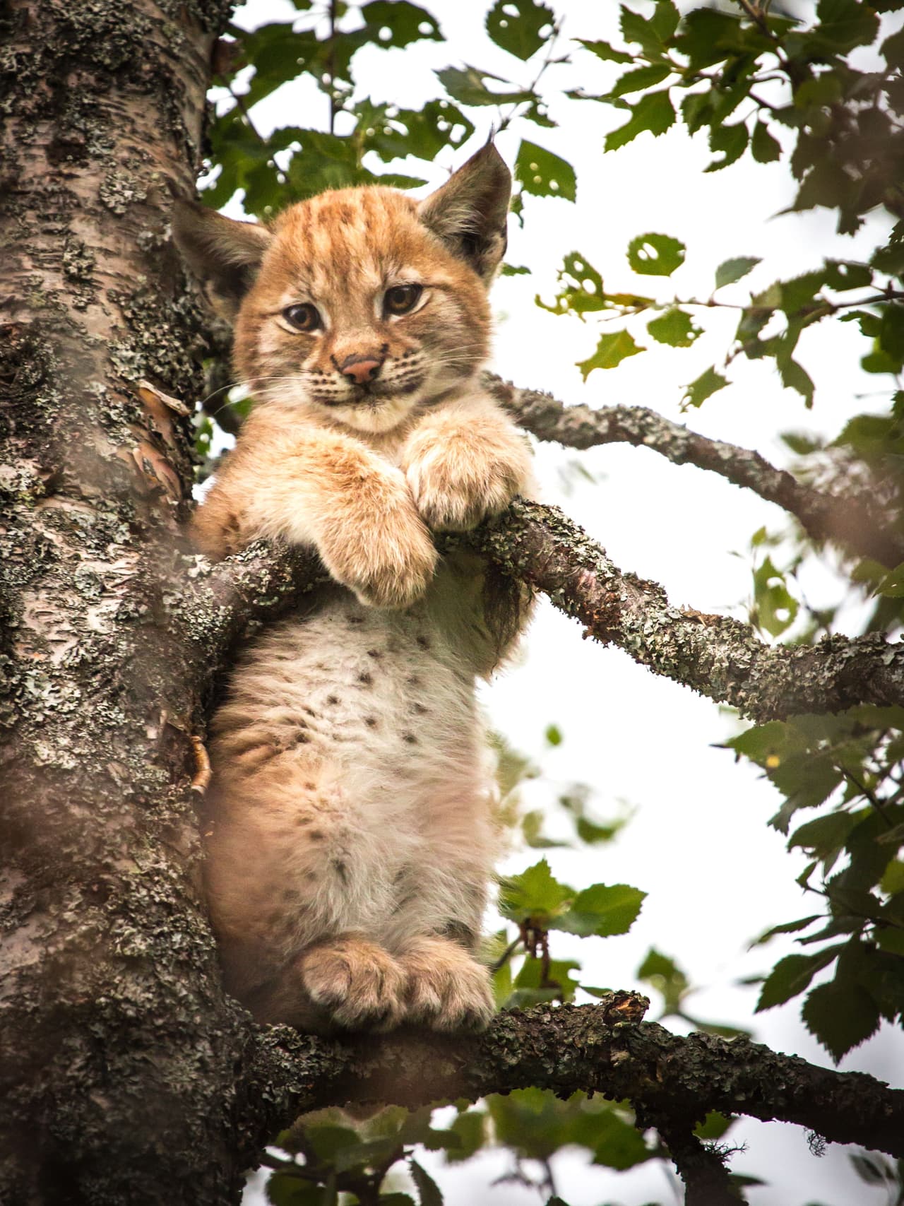 ¡No se podía mantener despierta!