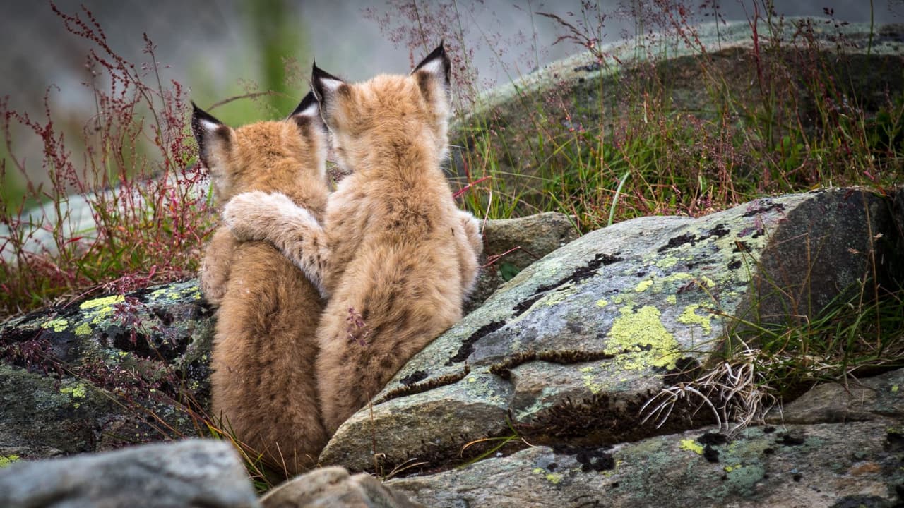 Pero no sólo ella, su hermanito también le dio un abrazo en señal de lo orgulloso que estaba de ella por dormir tanto y tan alto.