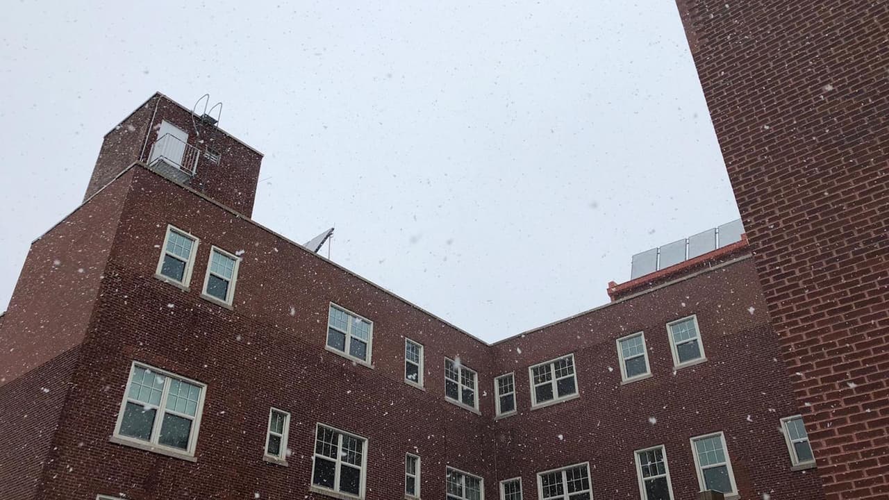 En áreas del norte los copos de nieve han sido húmedos y pesados.