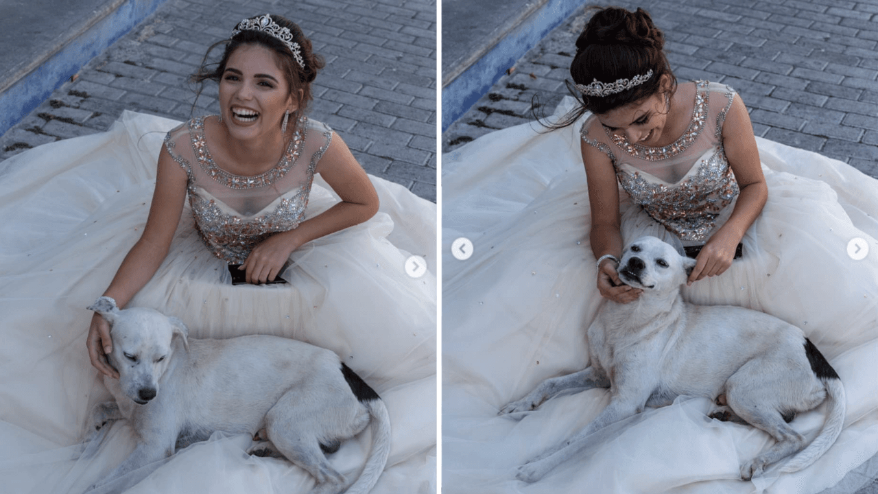 La sesión de fotos de XV años de Olivia se hizo viral por la interrupción de un perrito callejero.