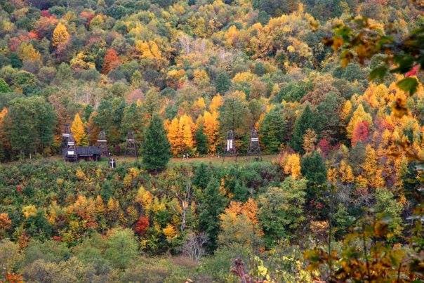 <b>Oil Creek State Park</b>: Oil Creek State Park, situado en el corazón de la Oil Heritage Region conocida como el lugar de nacimiento del primer pozo petrolero comercialmente exitoso, alberga hermosas cascadas y 52 millas de senderos escénicos. Lo que lo convierte en un lugar privilegiado para experimentar tonos brillantes de amarillo, rojo y naranja que recubren profundos huecos, laderas empinadas y humedales.