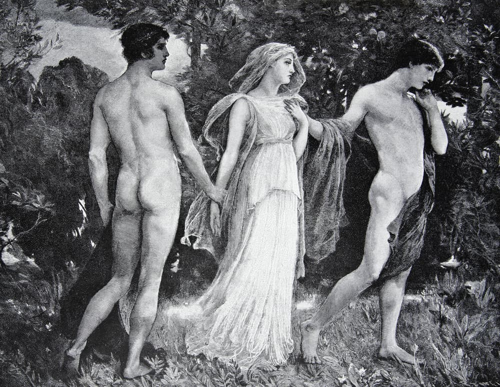 Los dioses del Hades le concedieron ese deseo con tal de escuchar su lira, pero había una condición, Orfeo no debía mirar atrás cuando estuviera saliendo del Hades.