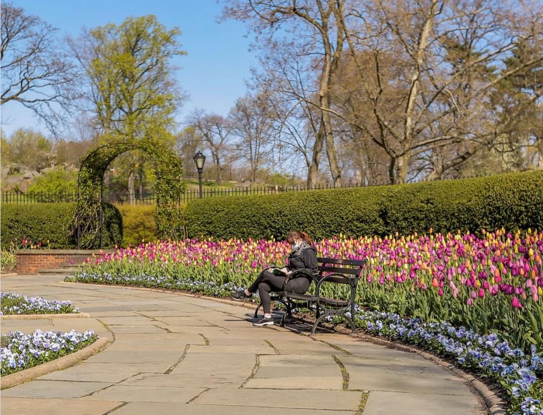 Una curiosidad del parque es que, aunque parezca natural, ¡casi todo fue diseñado por el hombre! Todas sus laderas y valles ondulantes se crearon desde cero. Esto incluye sus bosques, lagos y colinas. 
<br>