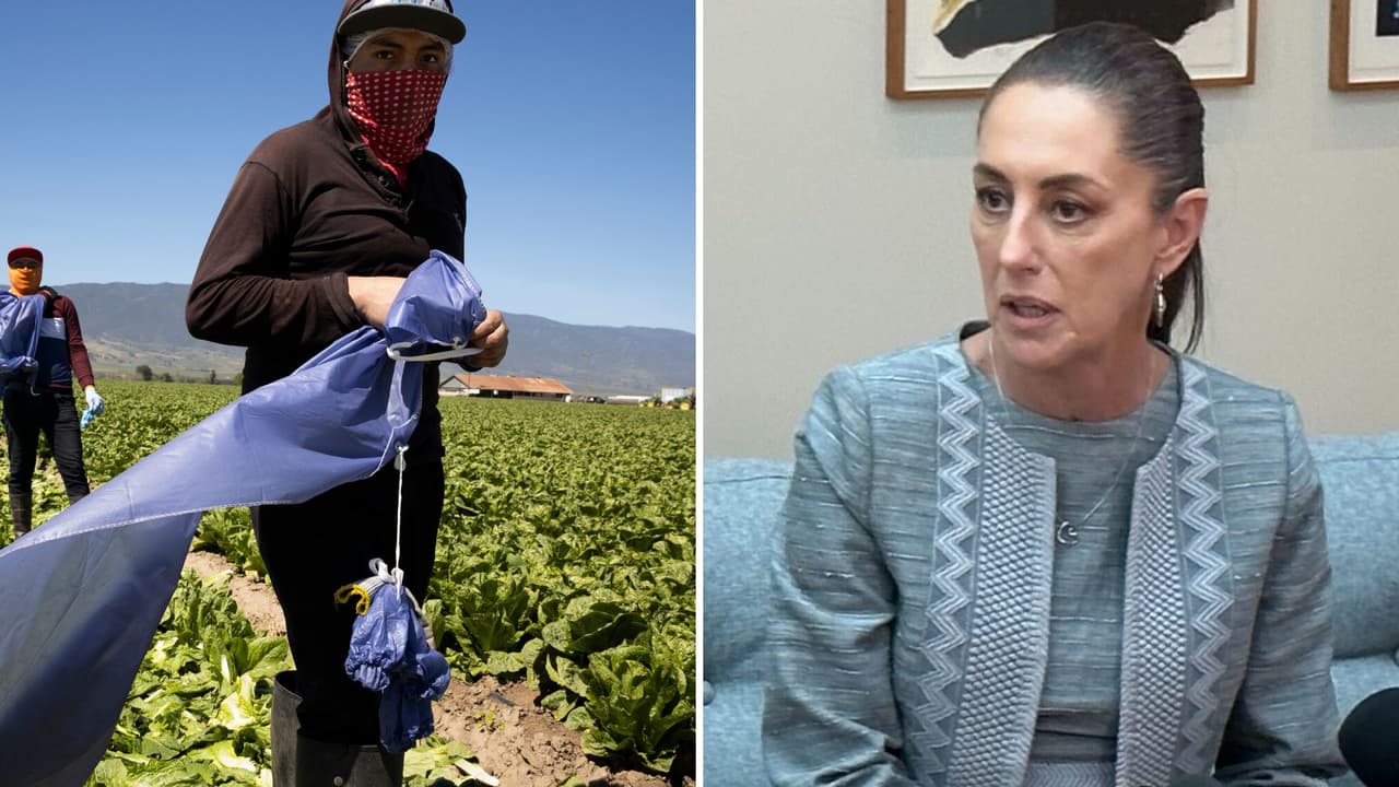 El año pasado, cuando 
<b><a href="https://www.univision.com/local/los-angeles-kmex/politica-los-angeles/claudia-sheinbaum-mexicanos-economia-estados-unidos" target="_blank">Claudia Sheinbaum</a></b> aspiraba a la presidencia de México y continuar con la llamada Cuarta Transformación, habló con Univision 34 sobre los temas fundamentales en la 
<b>relación entre México y Estados Unidos</b>: migración, economía y seguridad. Este martes 1 de octubre hace historia al prestar juramento como la primera presidenta del país. ¿Cuántos
<b> cambios hizo en su imagen y estilo</b> desde que comenzó a formar parte clave de la política mexicana? No muchos, según evidencian las imágenes en récord de los pasados años.