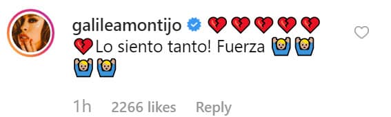 Galilea Montijo siempre estuvo al pendiente de la salud de Dante y hacía eco a cada una de las solicitudes que Ferdinando y Brenda hacían en redes sociales, como cuando pidieron ayuda para conseguir donadores de sangre.