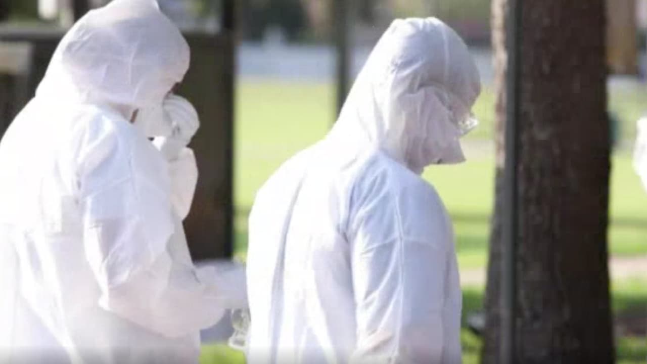 Las pruebas también están disponibles en consultorios médicos, clínicas, farmacias y otros proveedores en Houston. Las personas pueden visitar
<b><a href="http://www.houstontx.gov/health/" target="_blank">HoustonHealth.org</a></b> o llamar al 832-393-4220 para encontrar sitios y horarios de pruebas cercanos gratuitos afiliados al departamento de salud.