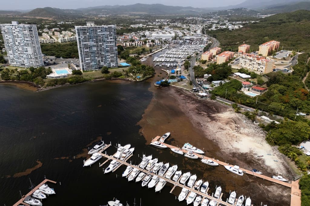 <b>Uso de tecnología para monitoreo </b>Para enfrentar esta problemática, el DRNA ha implementado el uso de drones que permiten sobrevolar zonas costeras y recopilar datos precisos sobre el volumen, movimiento y condiciones ambientales del sargazo. Esta tecnología facilita la planificación estratégica y la coordinación de las tareas de limpieza, optimizando recursos públicos.