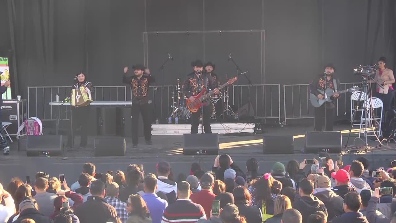 Desfile Internacional Navideño 2019