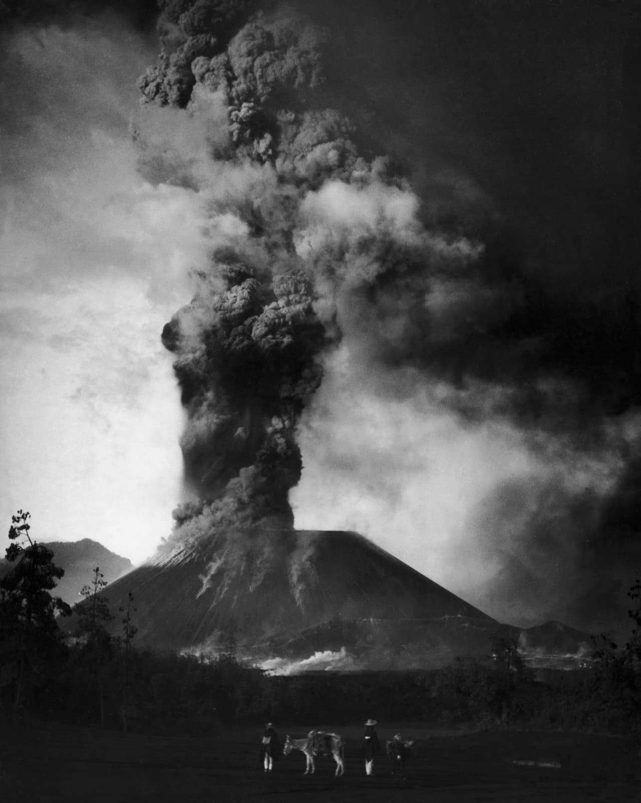 <b>1943</b>. El cono volcánico ya alcanzaba los 100 pies (30 metros) de altura. Otro poblado se reinstaló con el nombre de Nuevo San Juan Parangaricutiro en un área vecina.