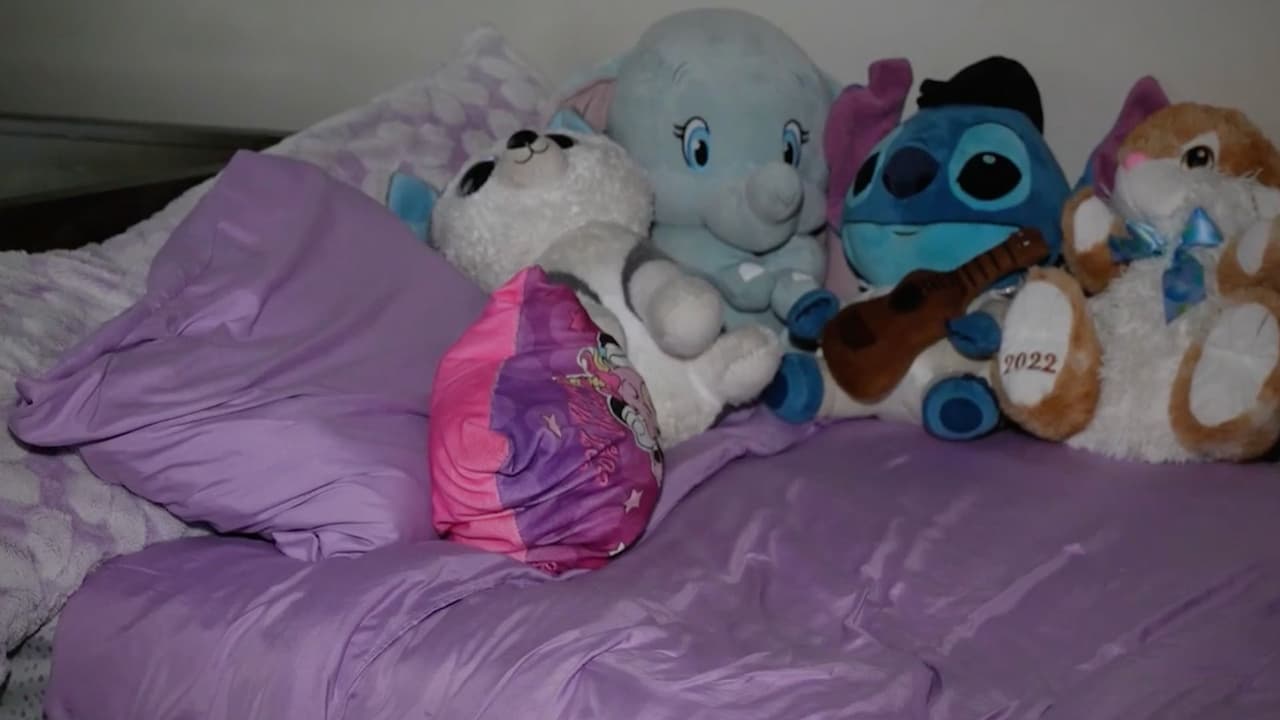 Mientras esto ocurre, la habitación de Wendy está intacta, con sus peluches y su computadora tal como la dejó. Su hermano pequeño Edwin quiere volverla a ver y su padre solo pide una cosa: 
<b>“Todos los días sueño con que Wendy se gradúe”</b>.